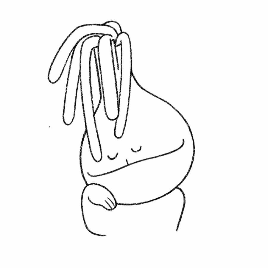 Fennel Bulb