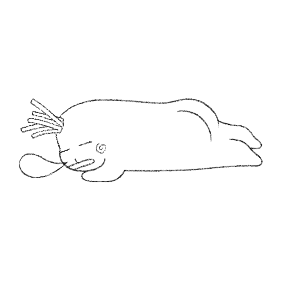 Daikon