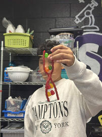 STEM DNA Student Work